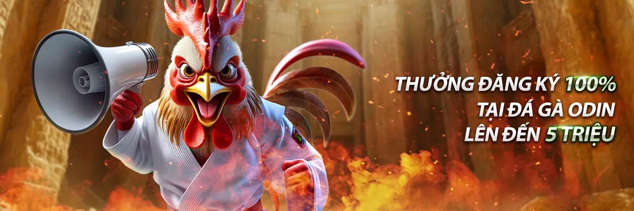 Chương trình VIP 123bet win