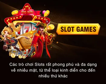 Phản hồi nhanh chóng 123bet win