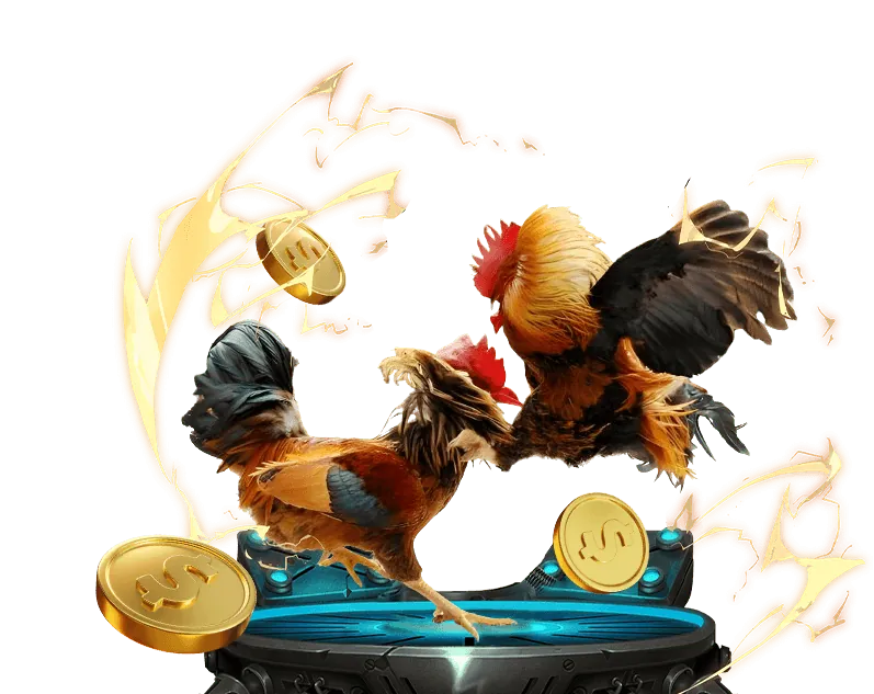 Truy Cập Nhanh Chóng